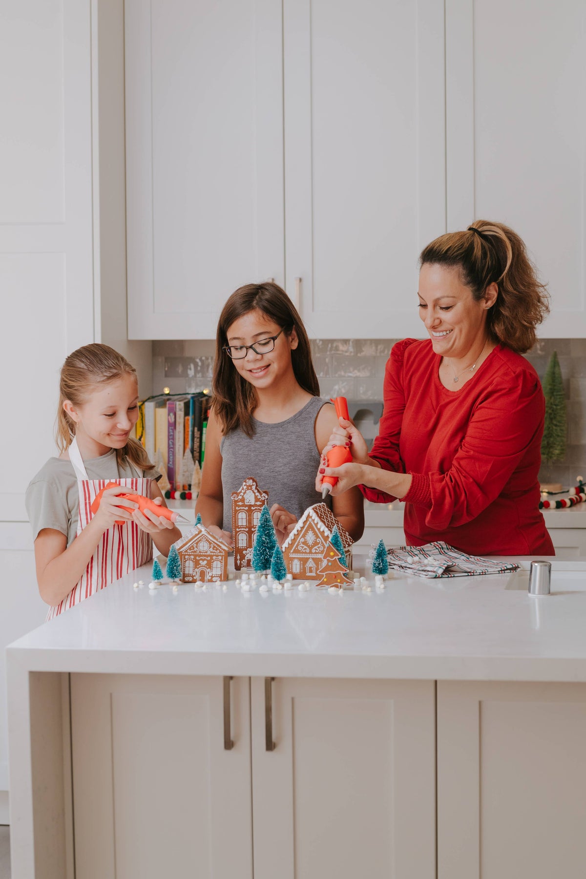 Make Your Own Gingerbread Village – Cutters & Frosting Tools