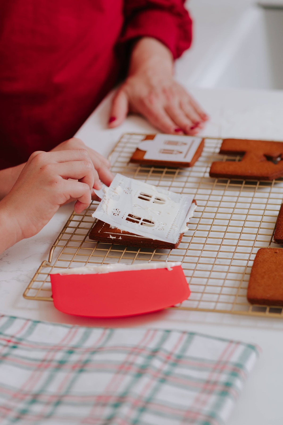 Make Your Own Gingerbread Village – Cutters & Frosting Tools
