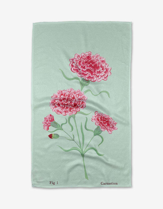 January Carnation